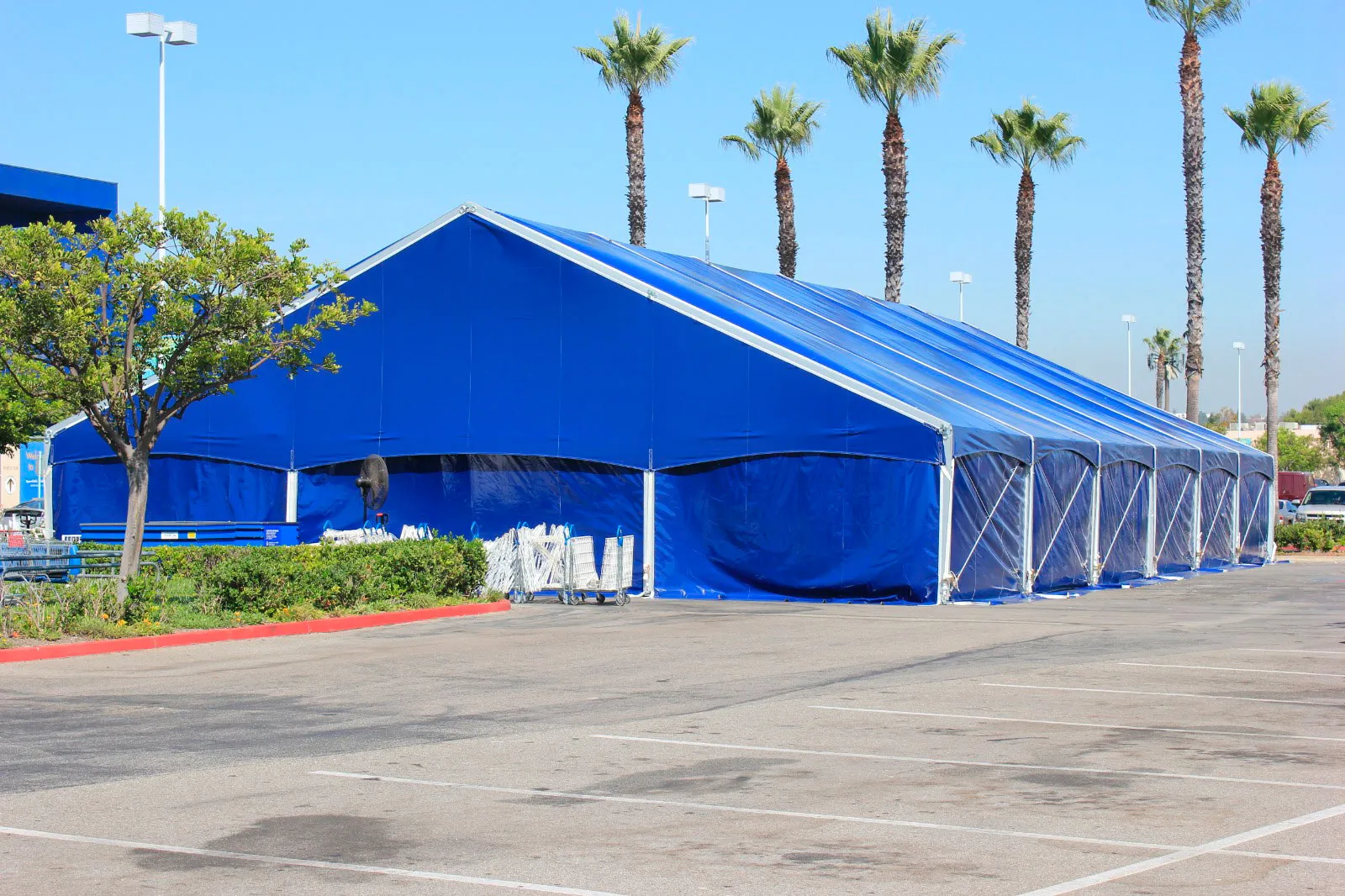 A run of blue and white clearspan structures on a paved lot lined with palm trees.