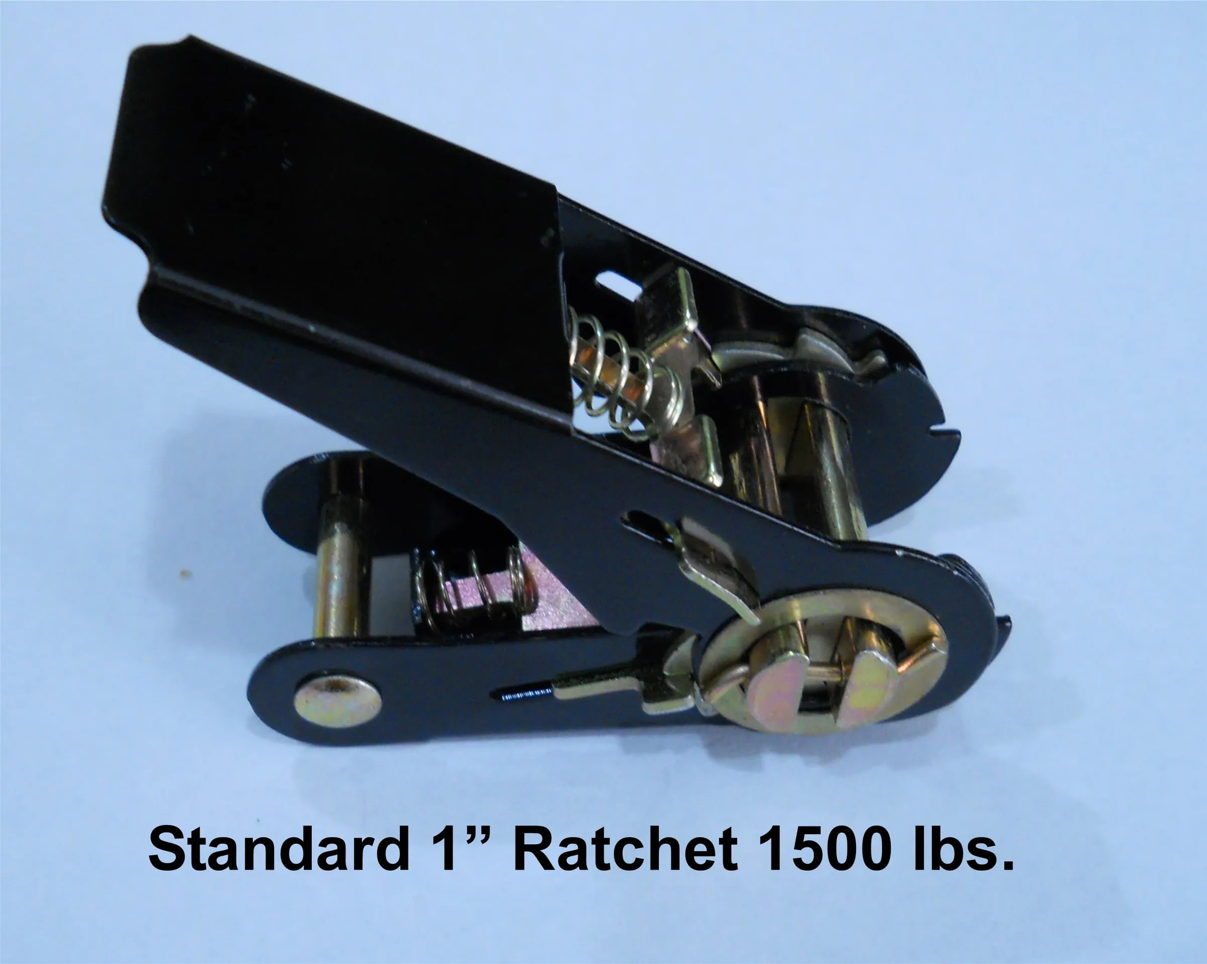 A standard 1-inch ratchet buckle.